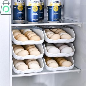 Double Layer Egg Storage Box Refrigerator Egg Organizer with Dust Proof Lid